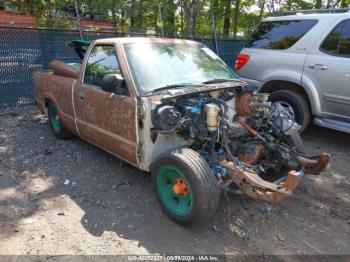  Salvage Chevrolet S Truck