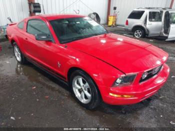  Salvage Ford Mustang