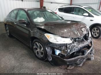  Salvage Honda Accord