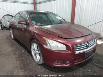  Salvage Nissan Maxima