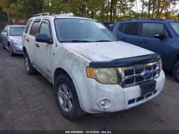  Salvage Ford Escape