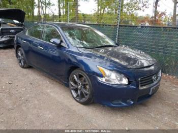  Salvage Nissan Maxima