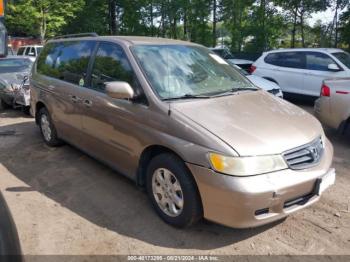  Salvage Honda Odyssey