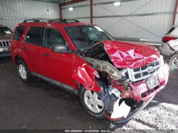  Salvage Ford Escape