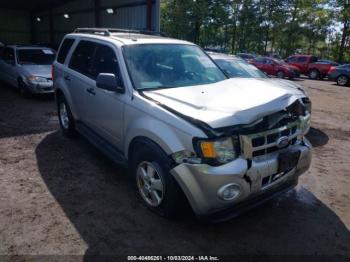  Salvage Ford Escape