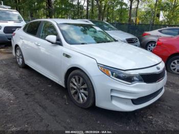  Salvage Kia Optima