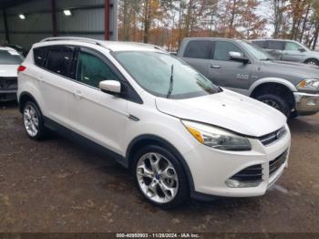  Salvage Ford Escape