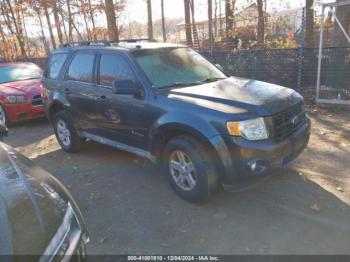  Salvage Ford Escape