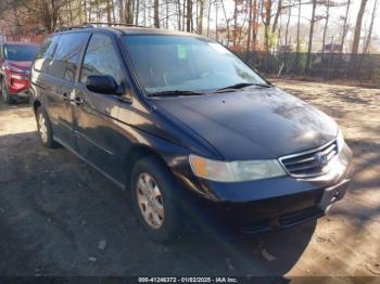  Salvage Honda Odyssey