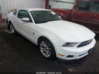  Salvage Ford Mustang