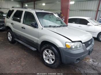  Salvage Ford Escape