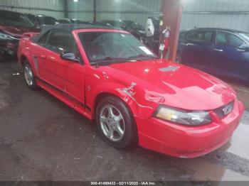  Salvage Ford Mustang