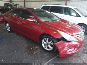  Salvage Hyundai SONATA