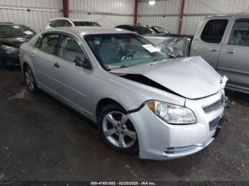  Salvage Chevrolet Malibu