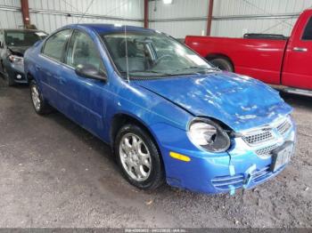  Salvage Dodge Neon