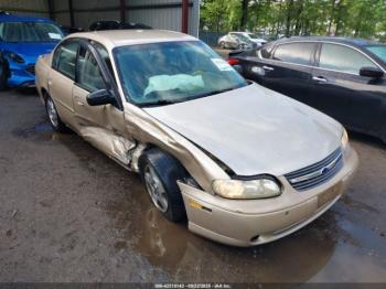  Salvage Chevrolet Malibu