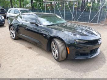  Salvage Chevrolet Camaro