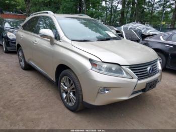  Salvage Lexus RX