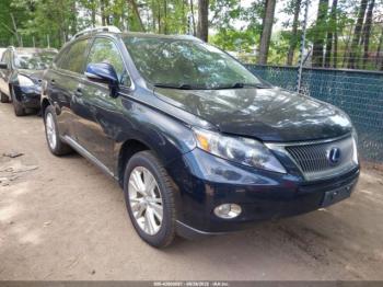  Salvage Lexus RX