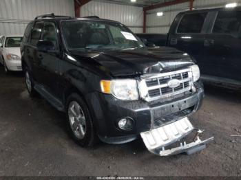  Salvage Ford Escape