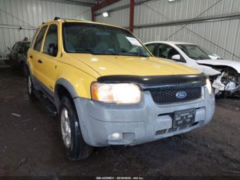  Salvage Ford Escape