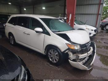  Salvage Honda Odyssey