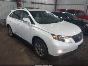  Salvage Lexus RX