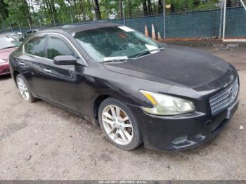  Salvage Nissan Maxima