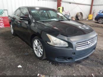  Salvage Nissan Maxima