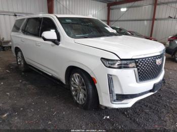  Salvage Cadillac Escalade
