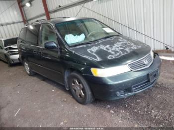  Salvage Honda Odyssey