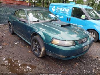  Salvage Ford Mustang