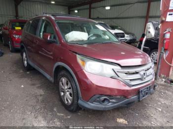  Salvage Honda CR-V