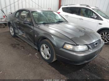  Salvage Ford Mustang