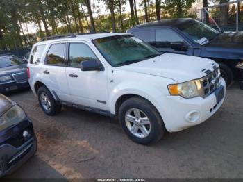  Salvage Ford Escape