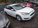 Ford Focus Se Image 1