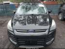 Ford Escape Titanium Image 8