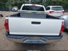 Toyota Tacoma Prerunner V6 Image 15