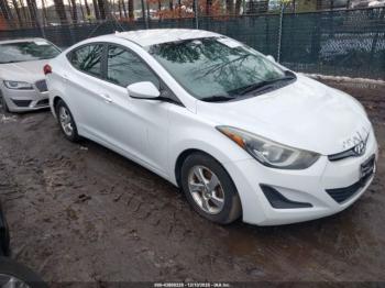  Salvage Hyundai ELANTRA