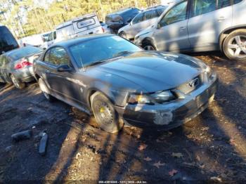  Salvage Ford Mustang