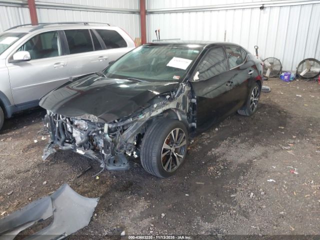 Nissan Maxima 3.5 Sv Image 2