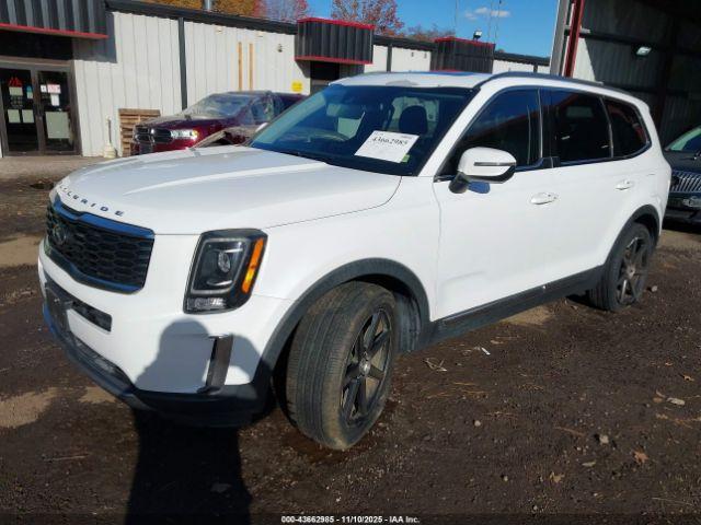 Kia Telluride Ex Image 5