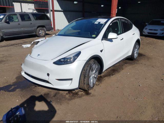 Tesla Model Y Image 15