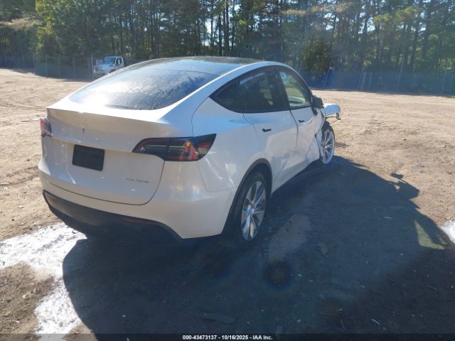 Tesla Model Y Image 4