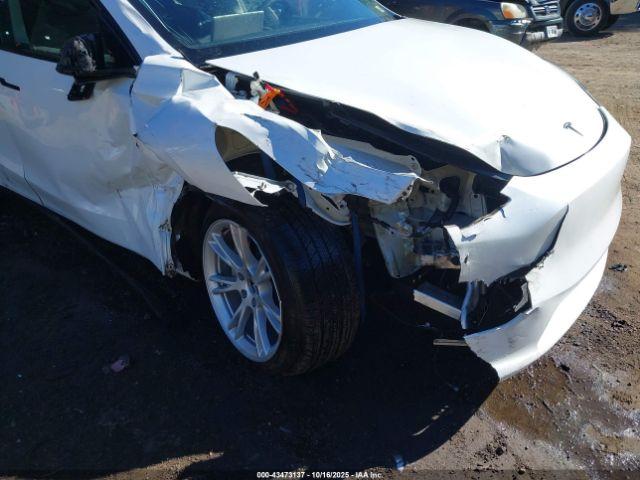 Tesla Model Y Image 3