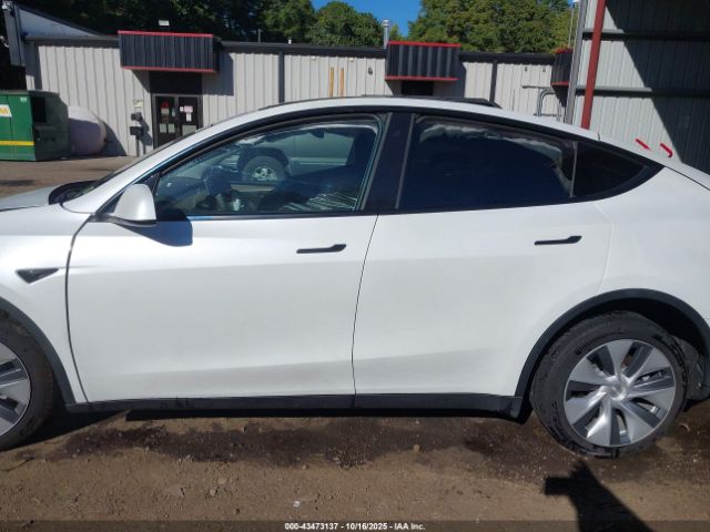 Tesla Model Y Image 10