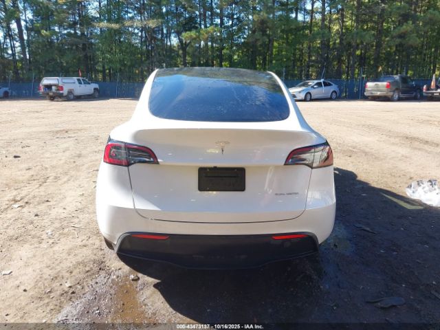 Tesla Model Y Image 12