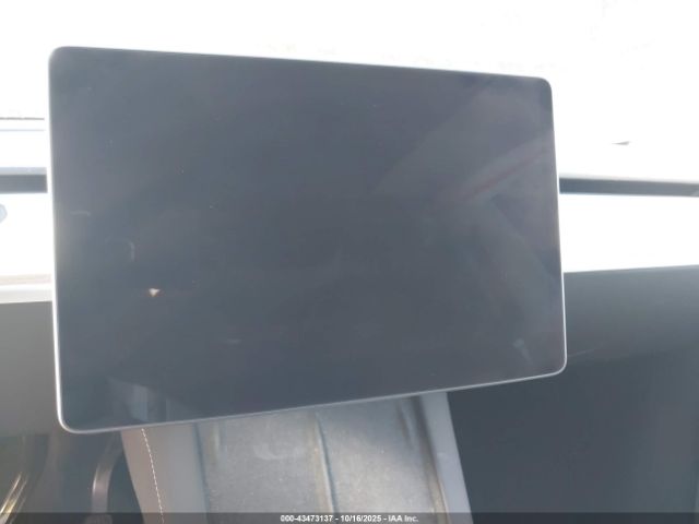 Tesla Model Y Image 13