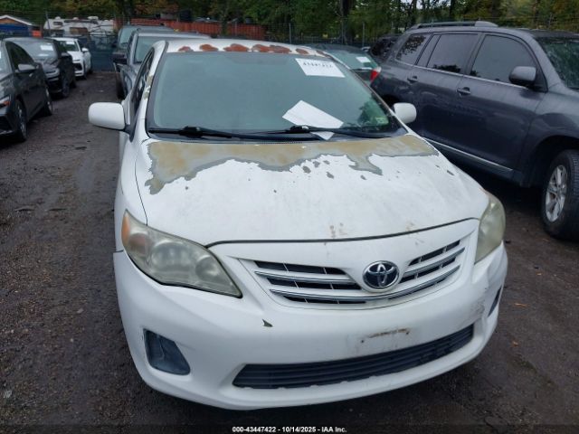 Toyota Corolla Le Image 15