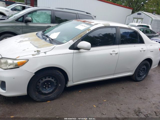 Toyota Corolla Le Image 12